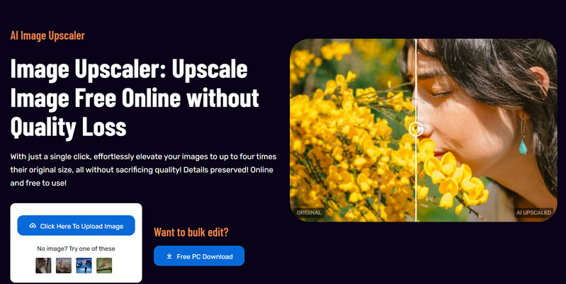 avclabs online image upscaler