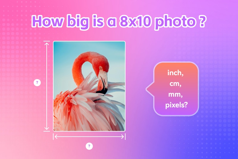 how big is a 8x10 photo