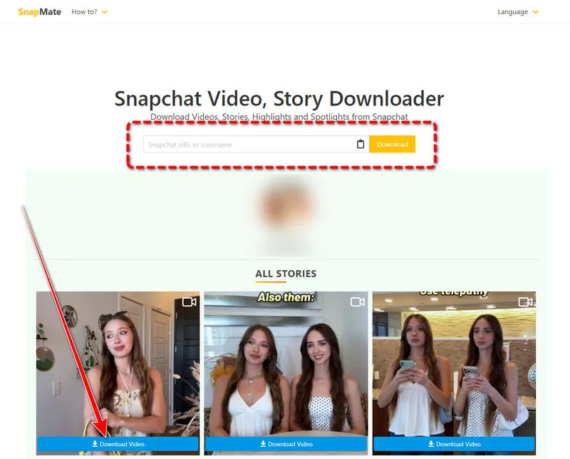 Snapchat Story Viewer snapmate.io
