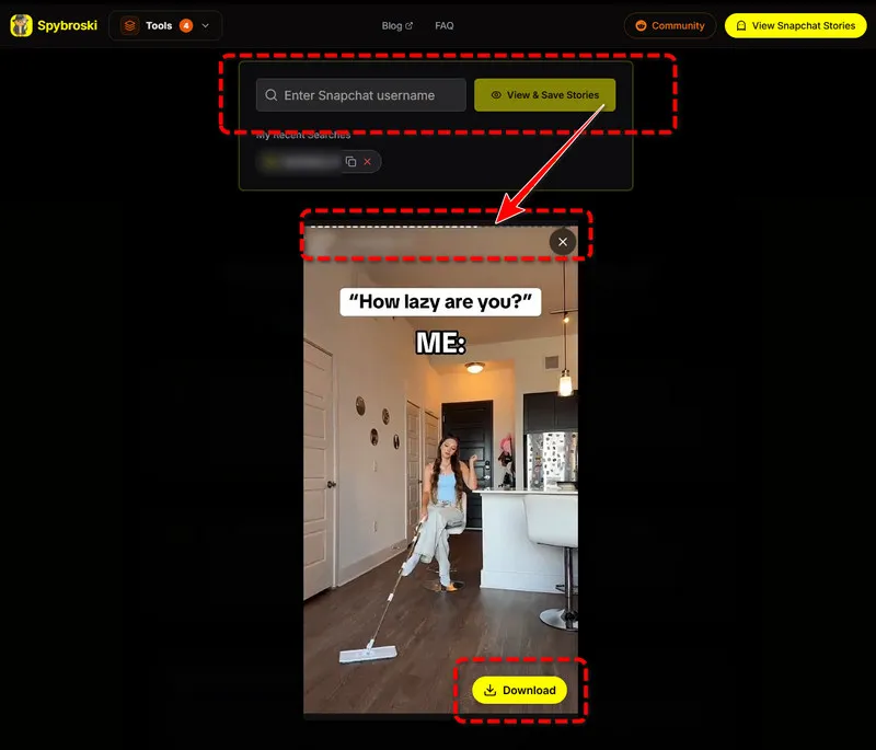 Snapchat Story Viewer spybroski