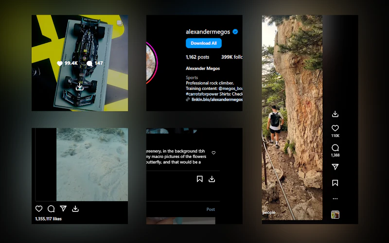 Instagram Image Downloader